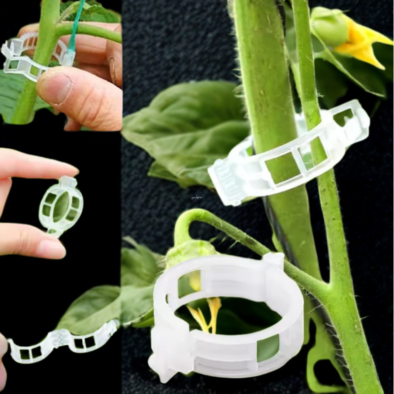 Clips de Soporte para Plantas (100unidades)