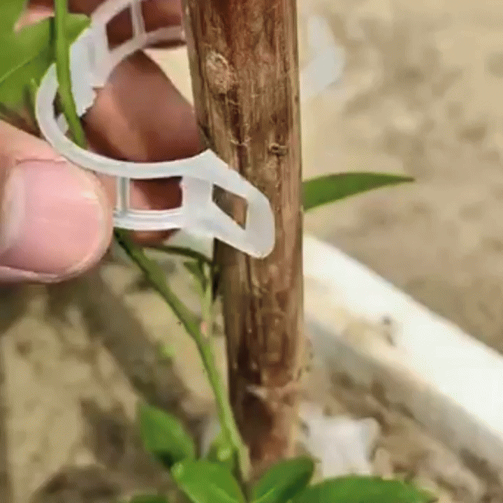 Clips de Soporte para Plantas (100unidades)