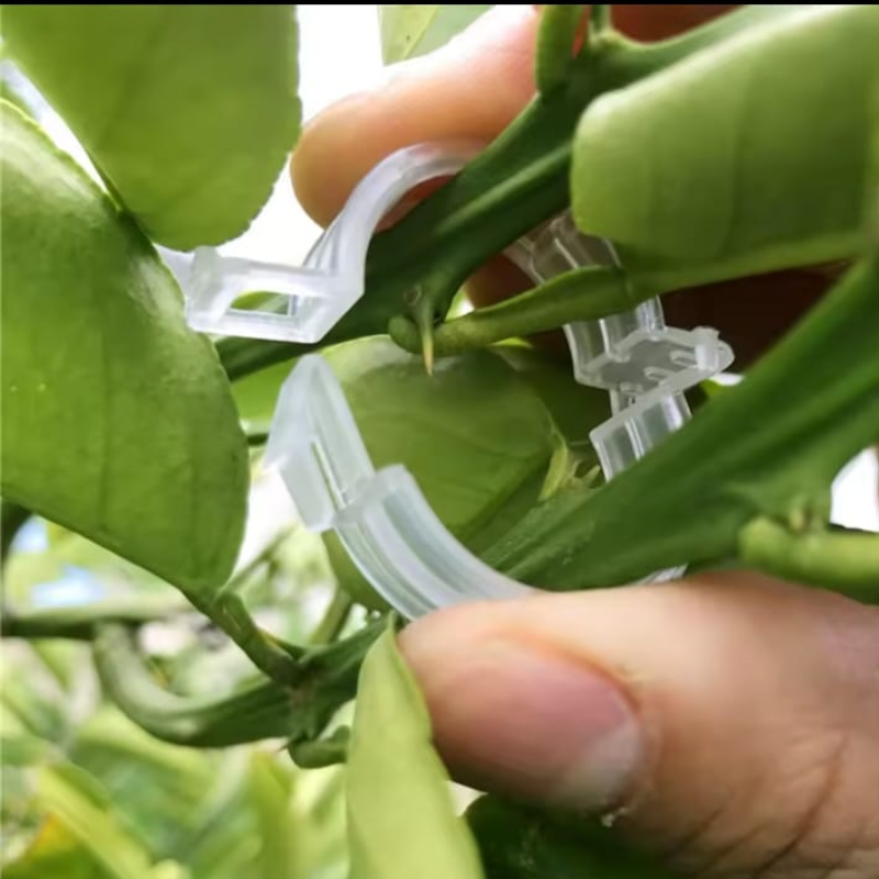 Clips de Soporte para Plantas (100unidades)