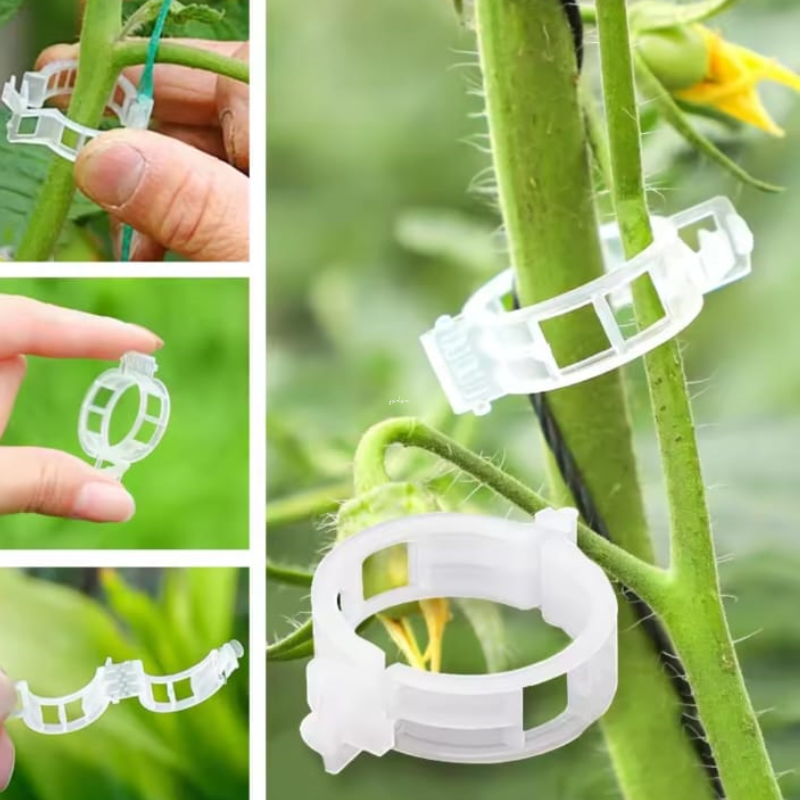 Clips de Soporte para Plantas (100unidades)