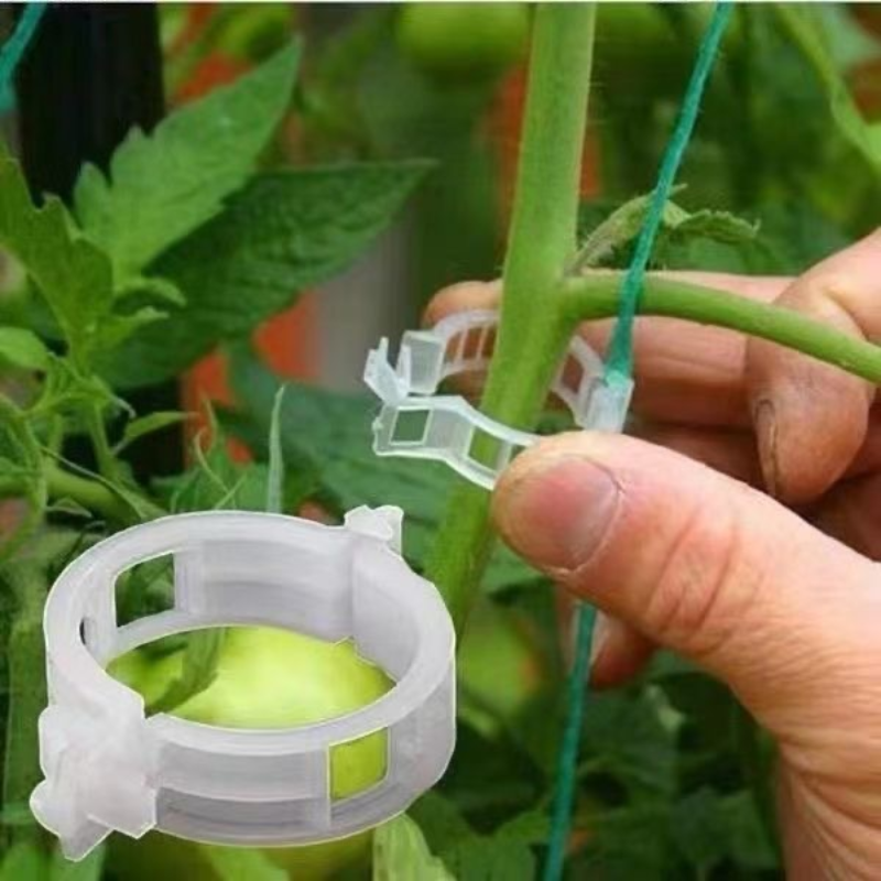 Clips de Soporte para Plantas (100unidades)
