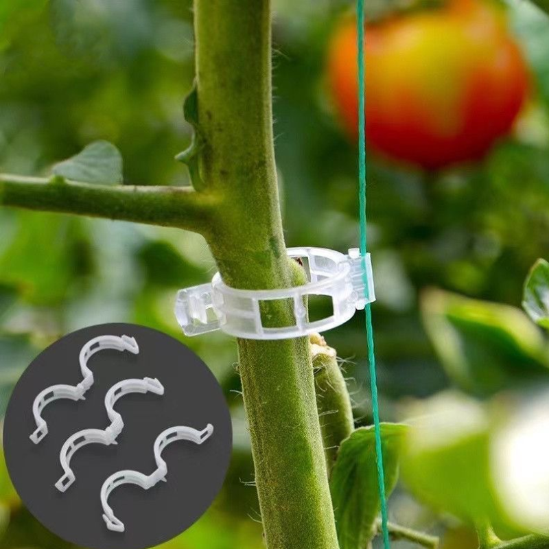 Clips de Soporte para Plantas (100unidades)