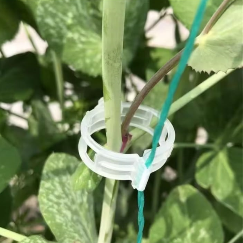 Clips de Soporte para Plantas (100unidades)