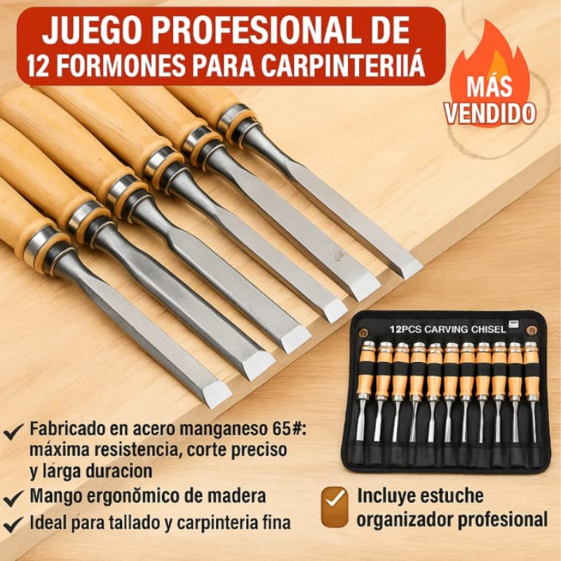 Kit de Cinceles 12 piezas